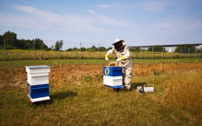 ACE Logistics Estonia avas uue logistika osakonna