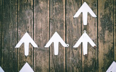 ACE Logisticsi kliendirahulolu Balti riikides ühtlasel kõrgel tasemel